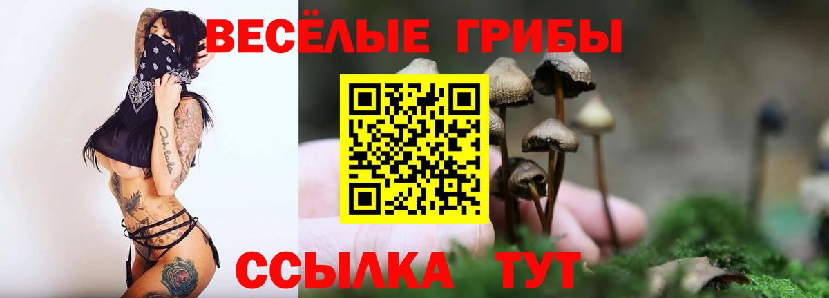 Менделеевск  Псилоцибиновые грибы мицелий  Вход с VPN  Псилоцибиновые грибы MAGIC MUSHROOMS 